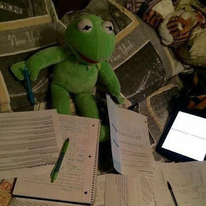 Meet your Posher, Flavia